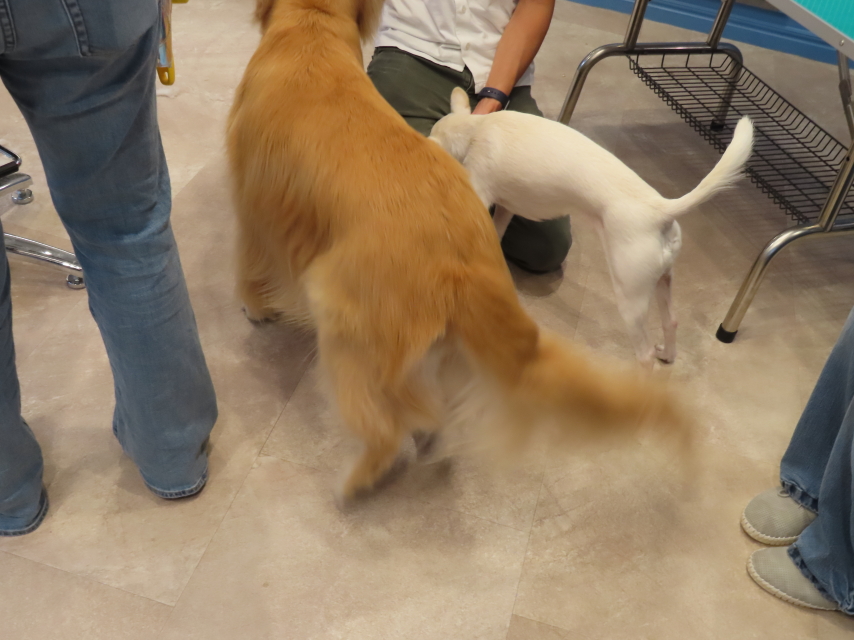 ファイル 8410-2.jpg