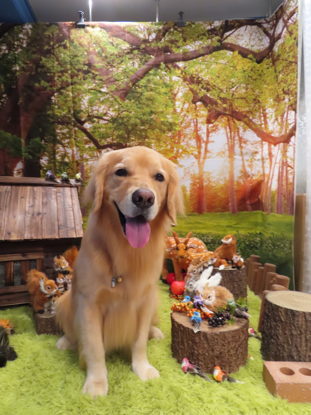 ファイル 8410-3.jpg