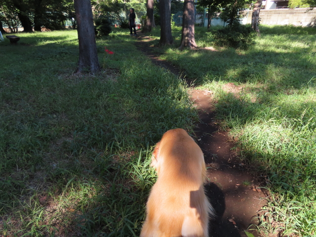 ファイル 8411-4.jpg