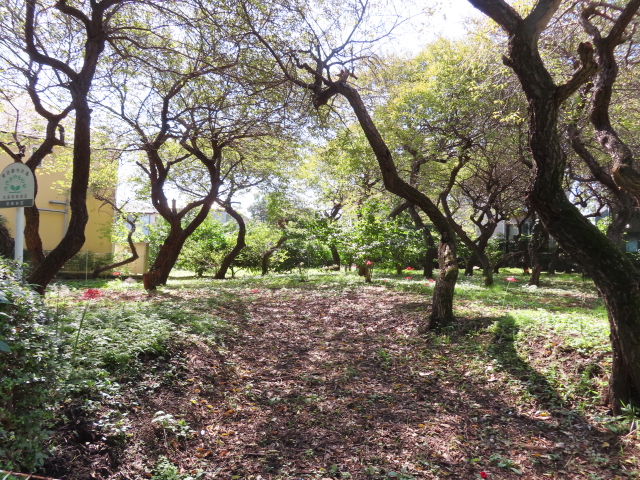 ファイル 8411-5.jpg