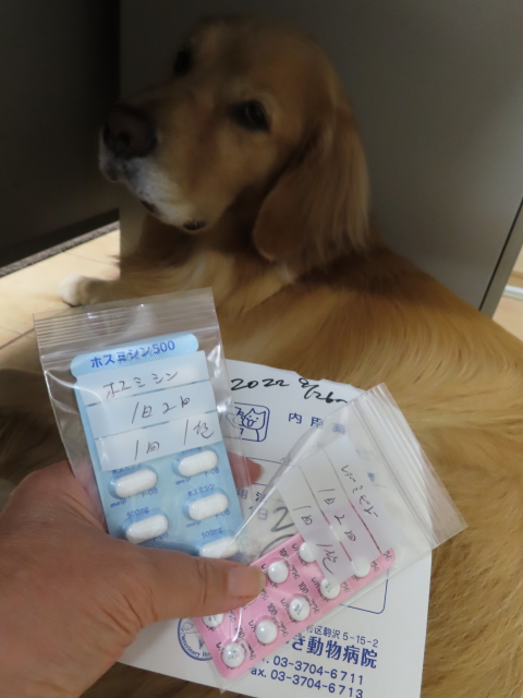 ファイル 8412-2.jpg