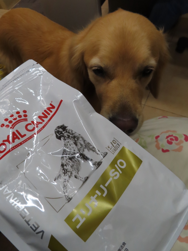 ファイル 8412-4.jpg