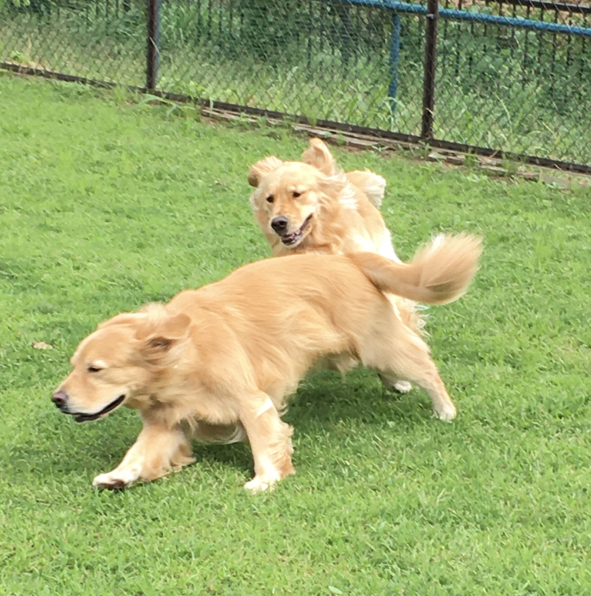 ファイル 8413-2.jpeg