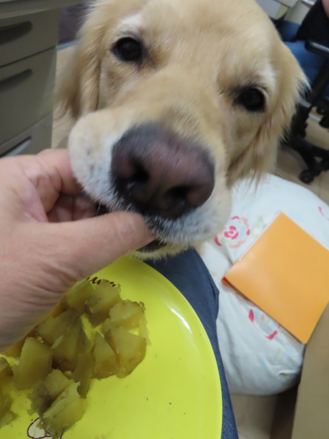 ファイル 8414-5.jpg