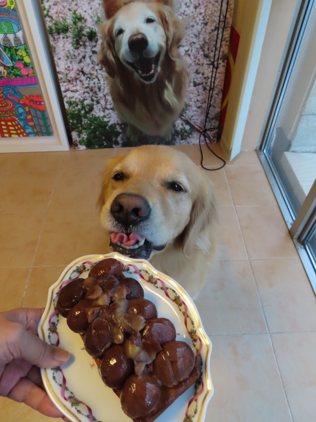 ファイル 8415-2.jpg