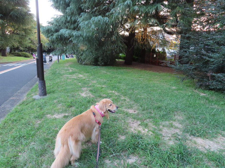 ファイル 8415-4.jpg