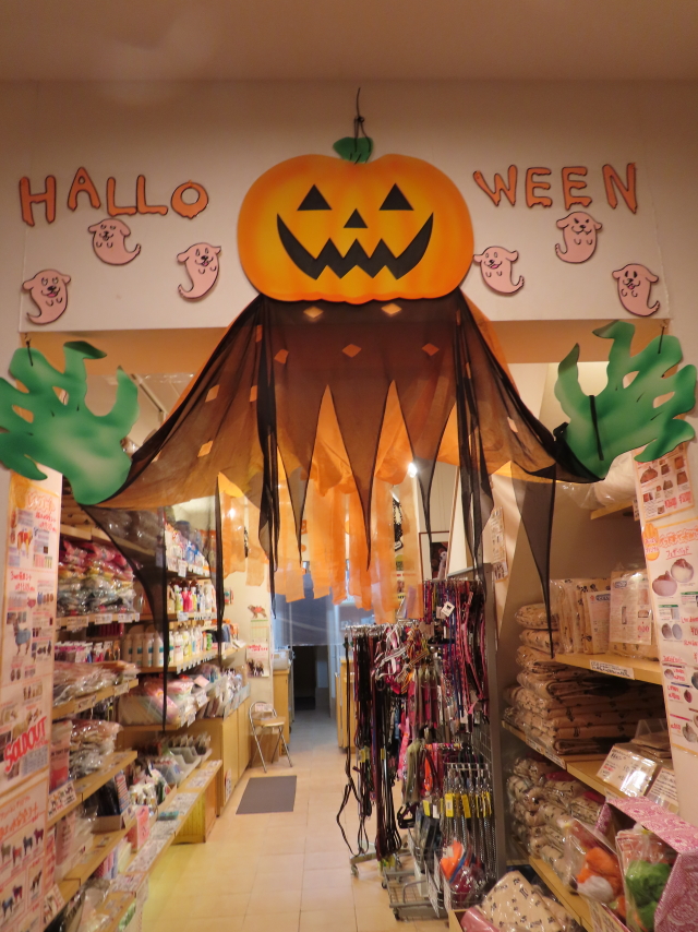 ファイル 8416-3.jpg