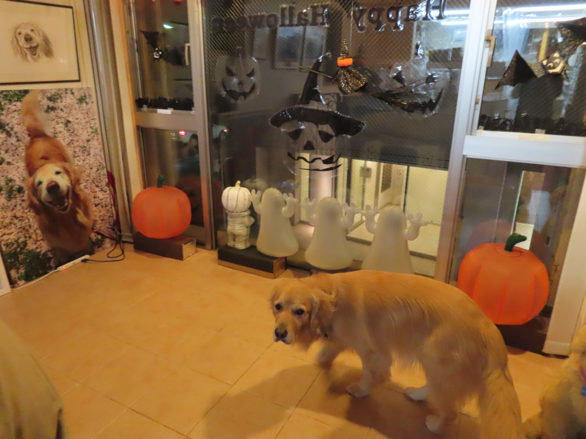 ファイル 8416-5.jpg