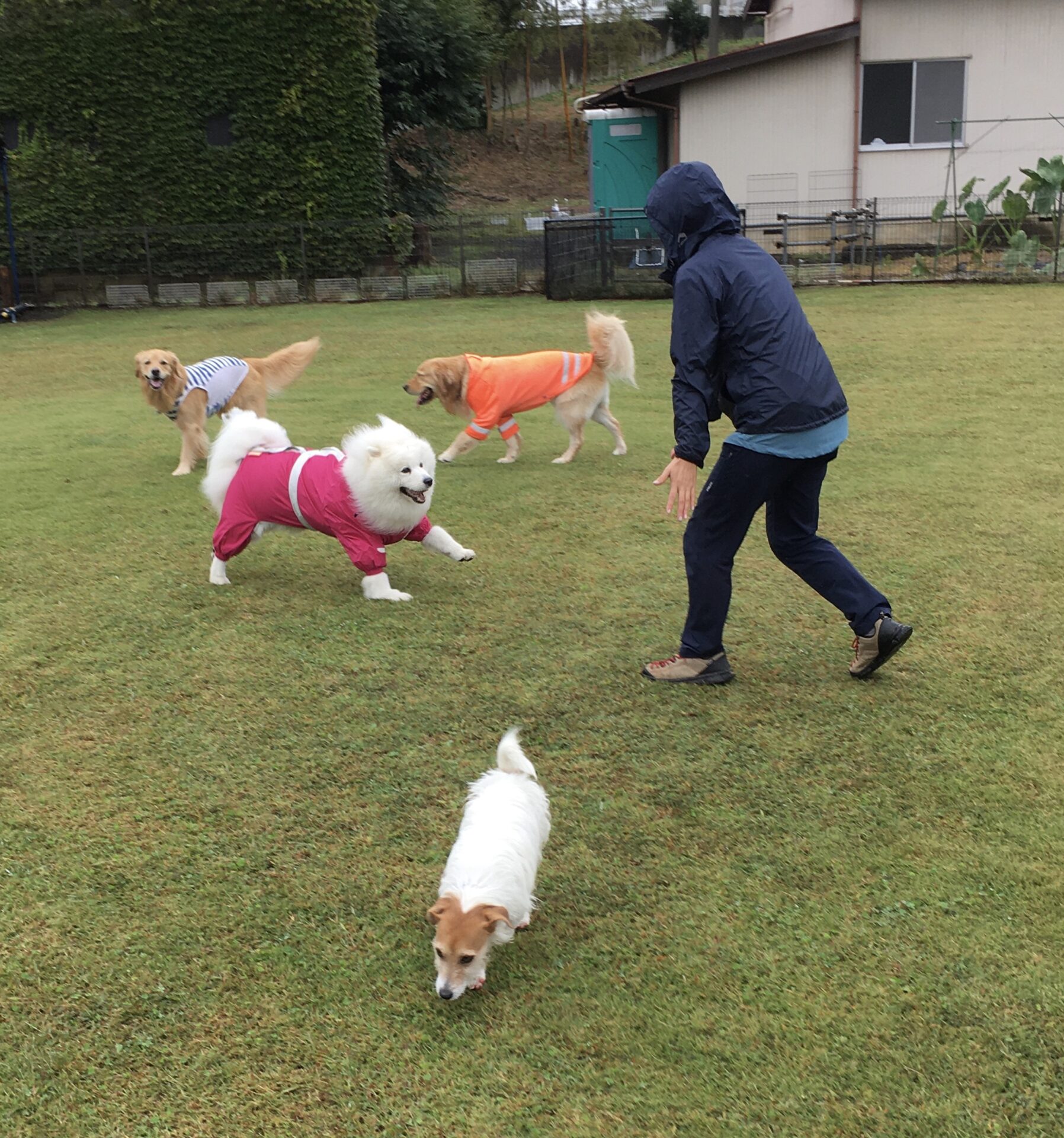 ファイル 8417-1.jpeg