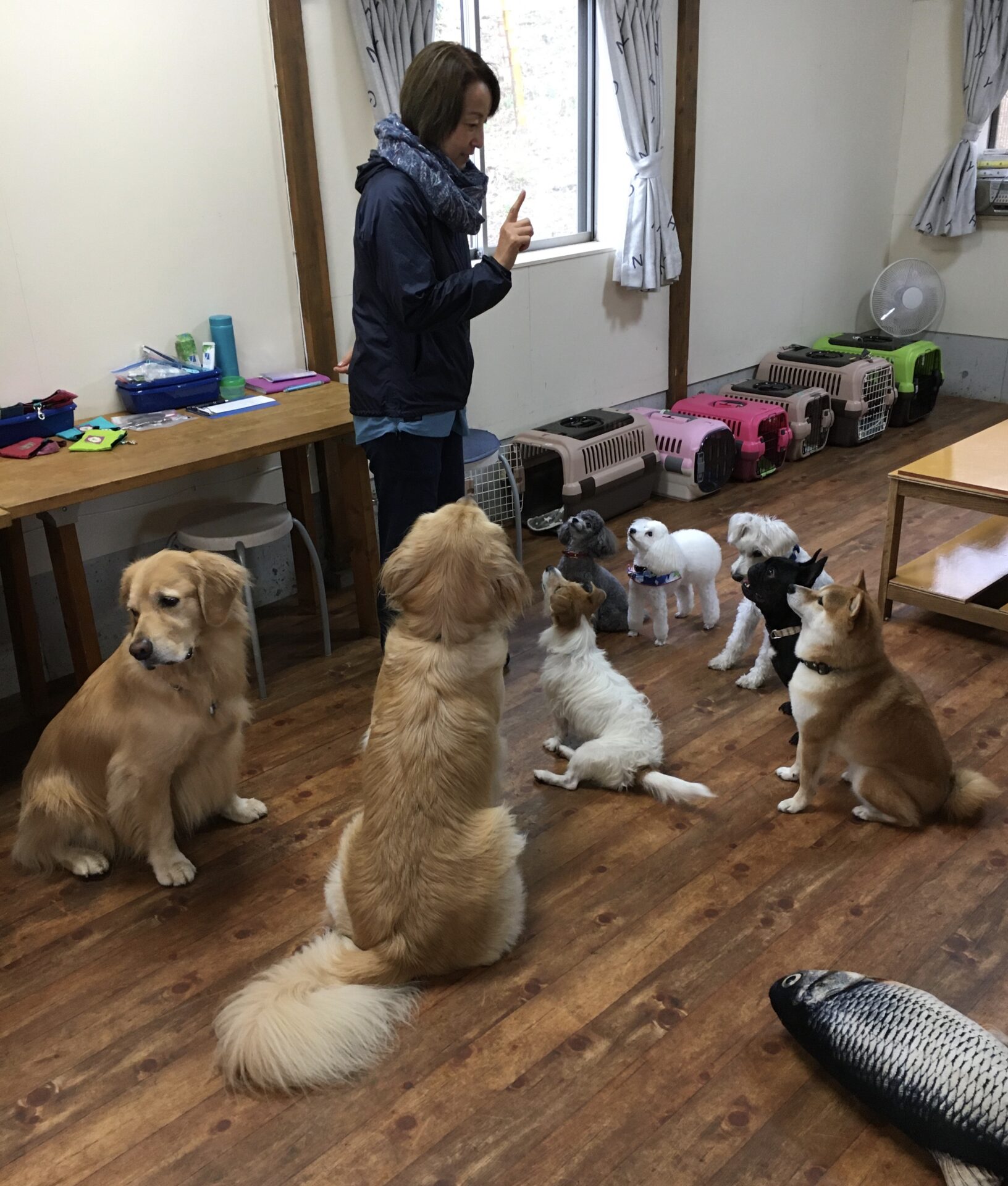 ファイル 8417-5.jpeg