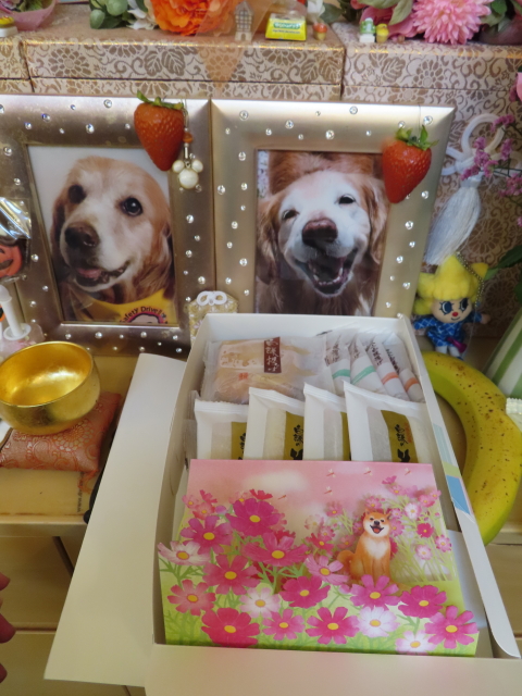 ファイル 8418-3.jpg