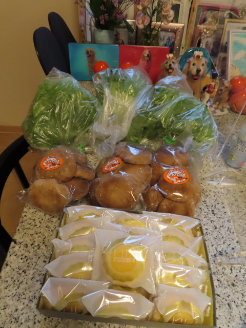 ファイル 8418-4.jpg