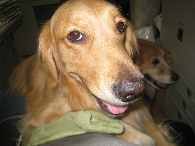 ファイル 842-1.jpg