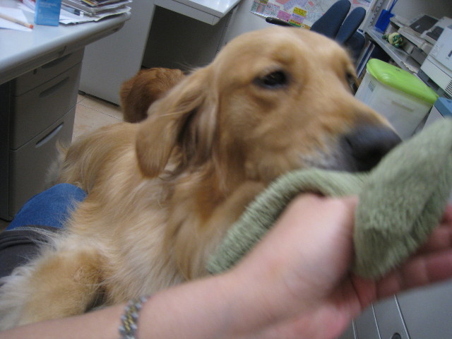 ファイル 842-2.jpg