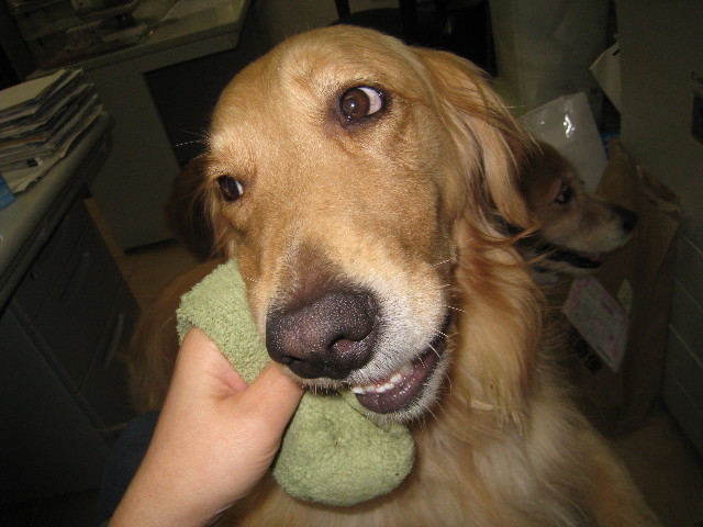 ファイル 842-3.jpg