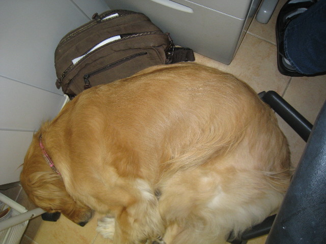 ファイル 842-4.jpg