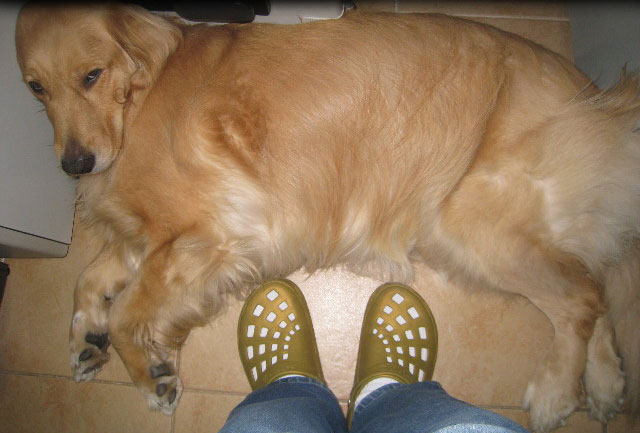 ファイル 842-5.jpg