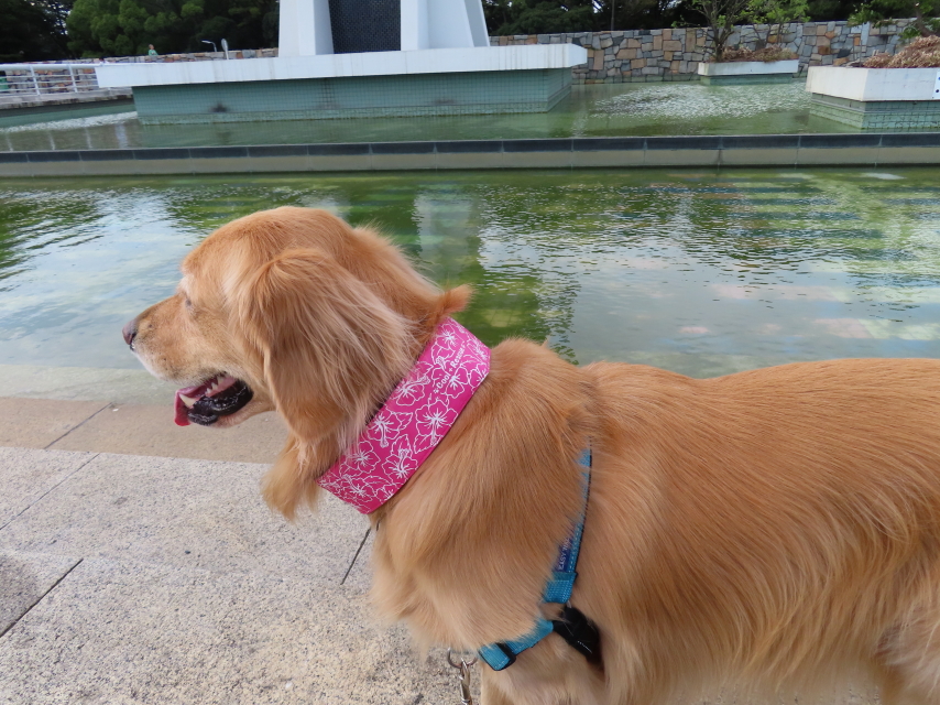 ファイル 8420-1.jpg