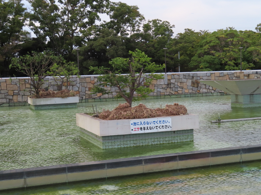 ファイル 8420-2.jpg