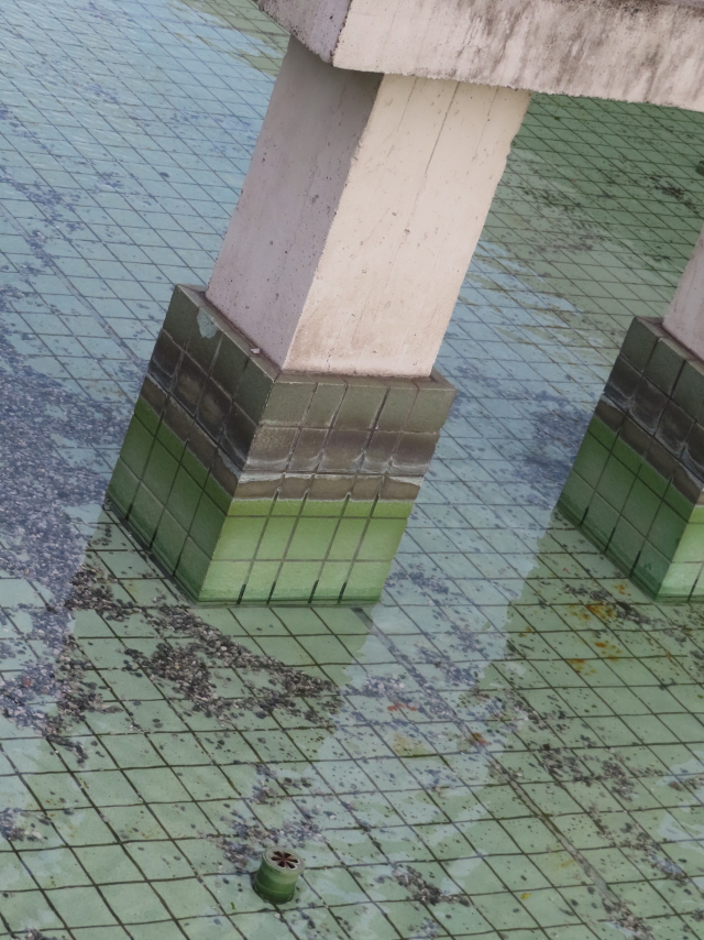 ファイル 8420-4.jpg