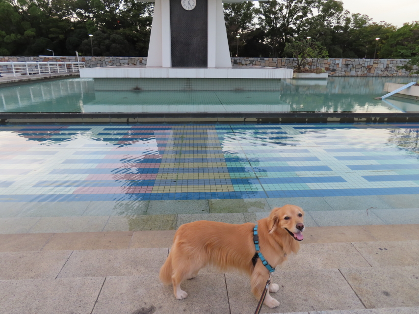 ファイル 8421-1.jpg