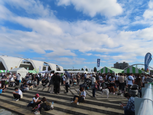 ファイル 8423-2.jpg