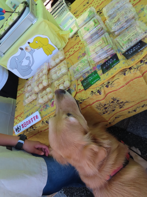 ファイル 8423-3.jpg