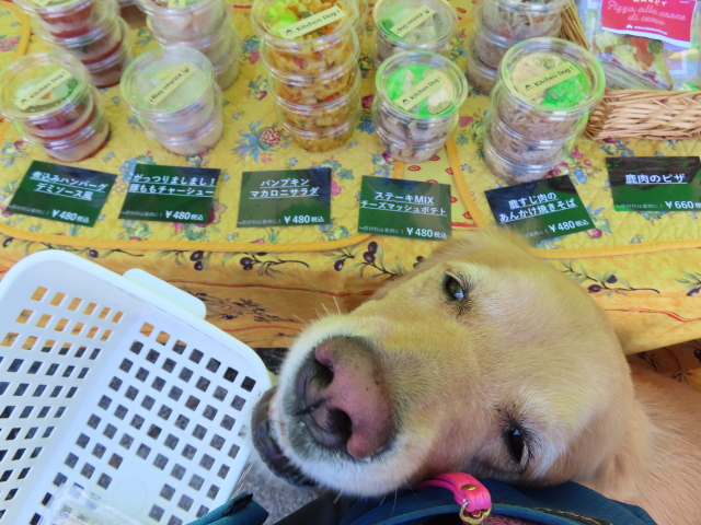 ファイル 8423-4.jpg