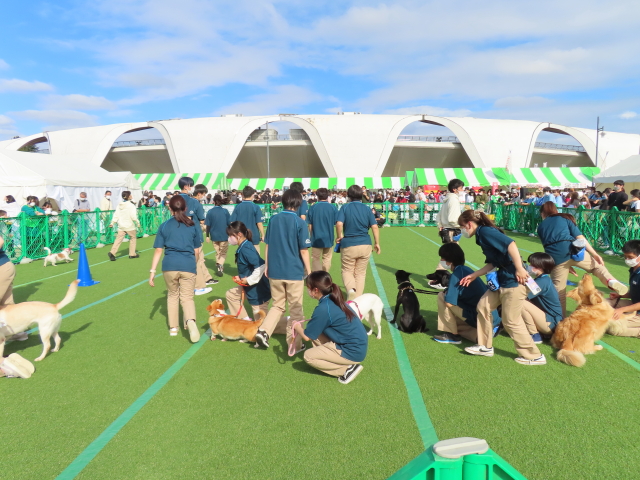 ファイル 8423-5.jpg