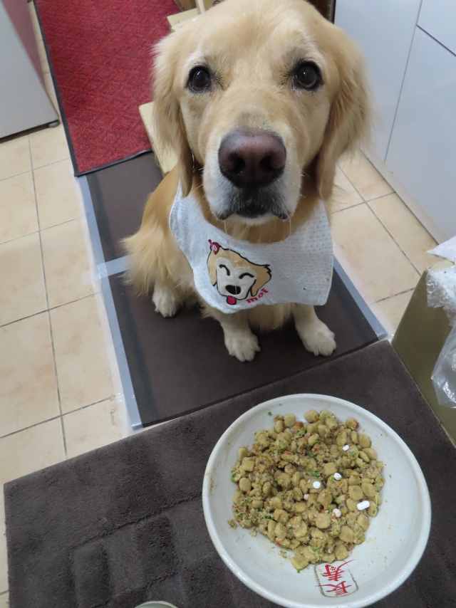 ファイル 8424-2.jpg