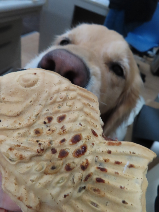 ファイル 8424-4.jpg