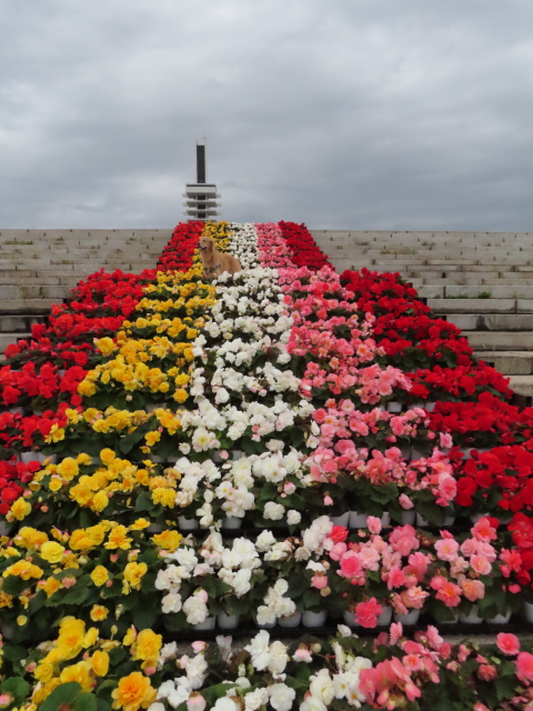 ファイル 8425-4.jpg