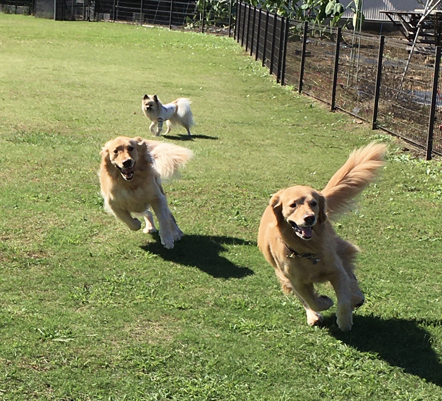 ファイル 8426-1.jpeg