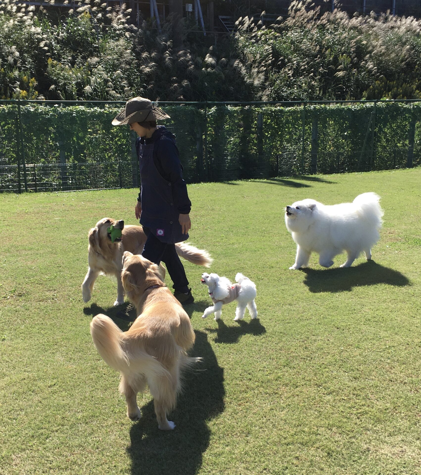 ファイル 8426-2.jpeg