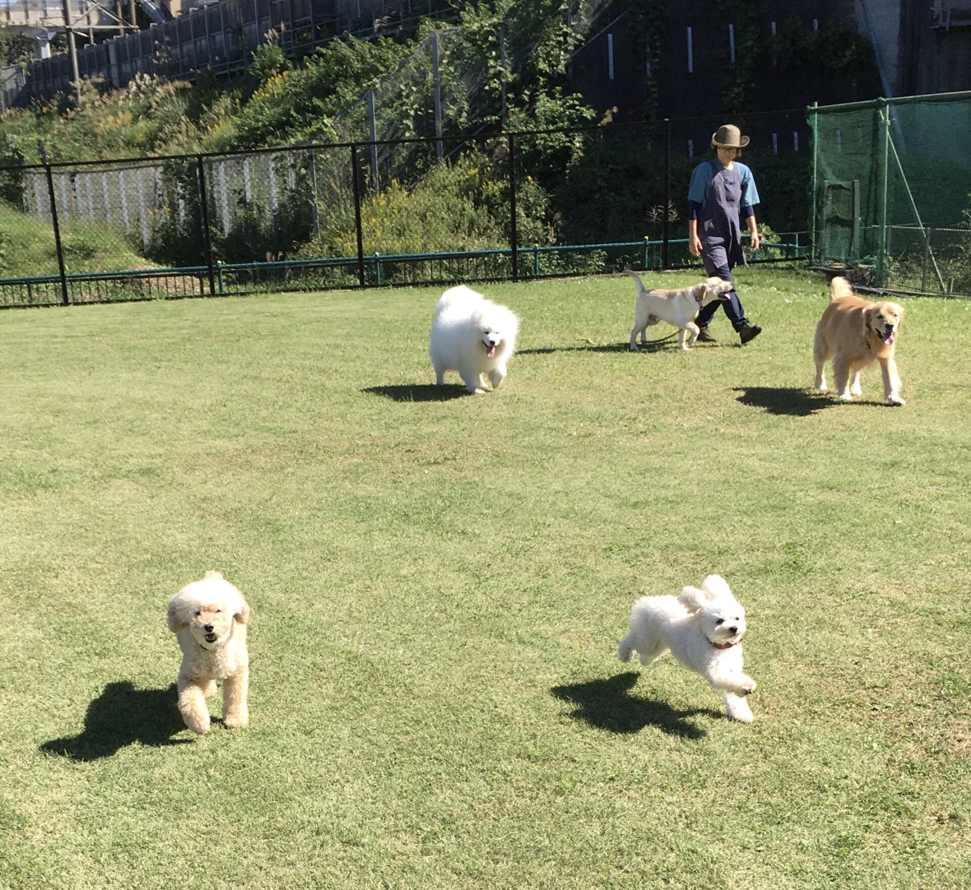 ファイル 8426-3.jpeg