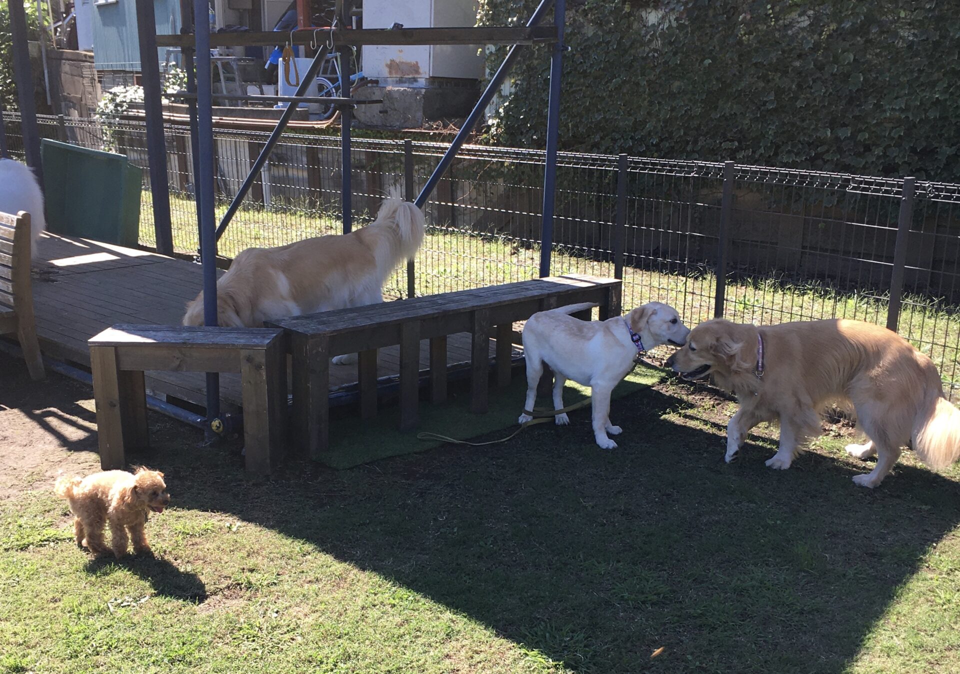 ファイル 8426-4.jpeg