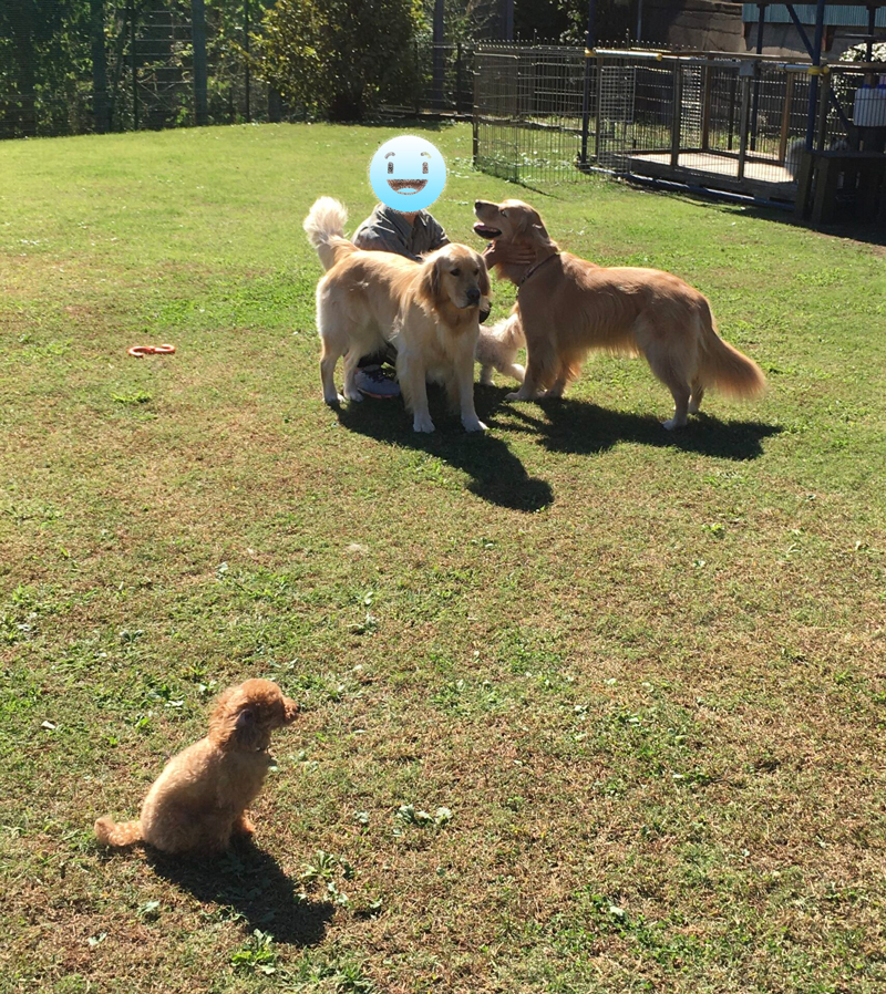 ファイル 8426-5.jpg