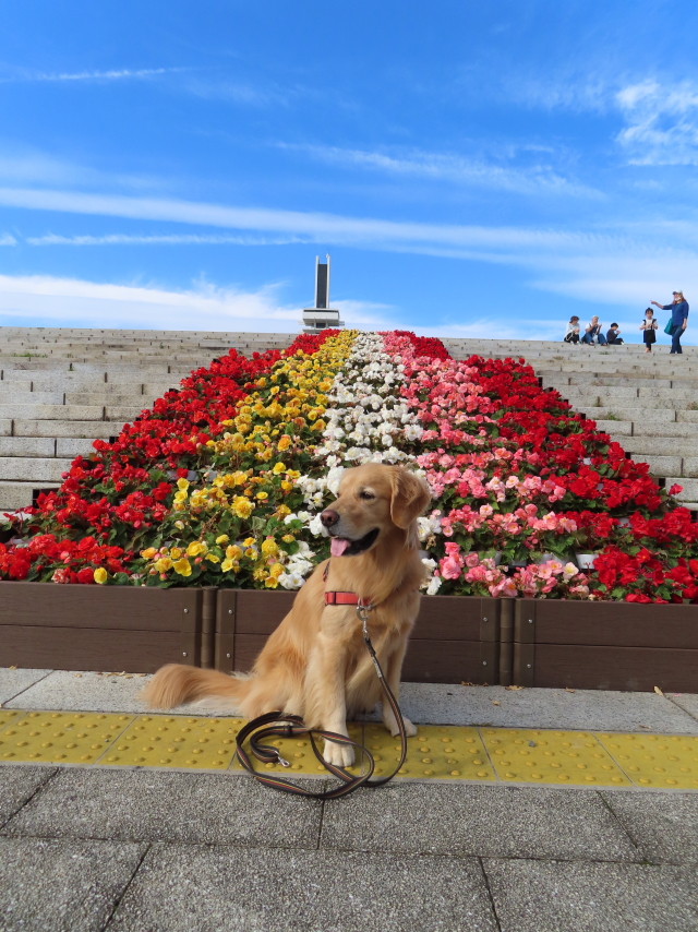 ファイル 8427-1.jpg