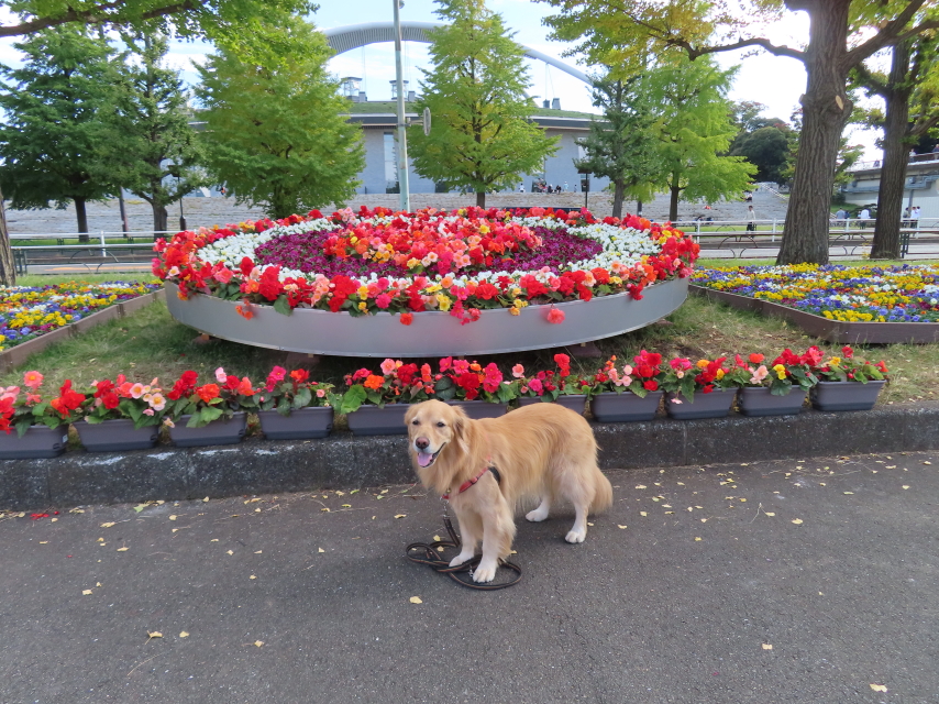 ファイル 8427-3.jpg