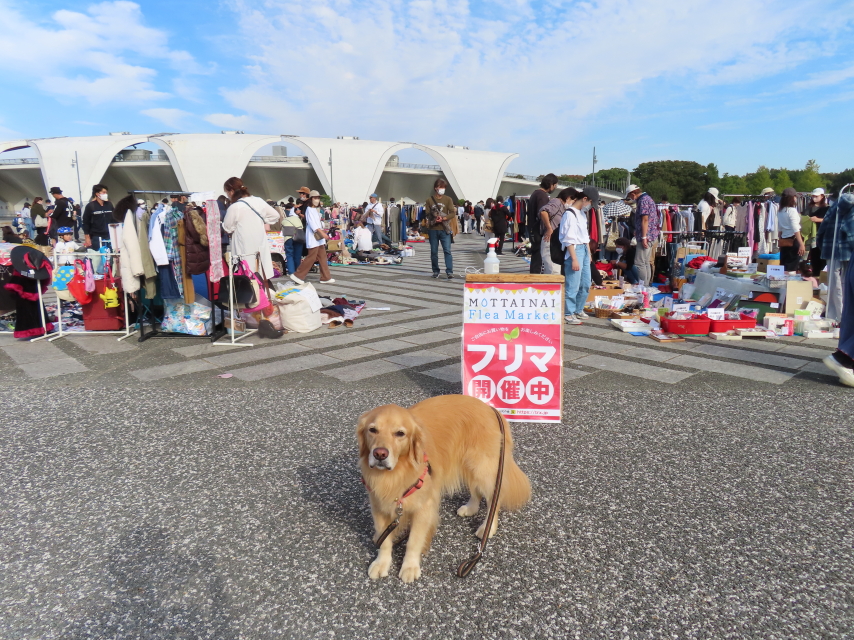 ファイル 8427-4.jpg