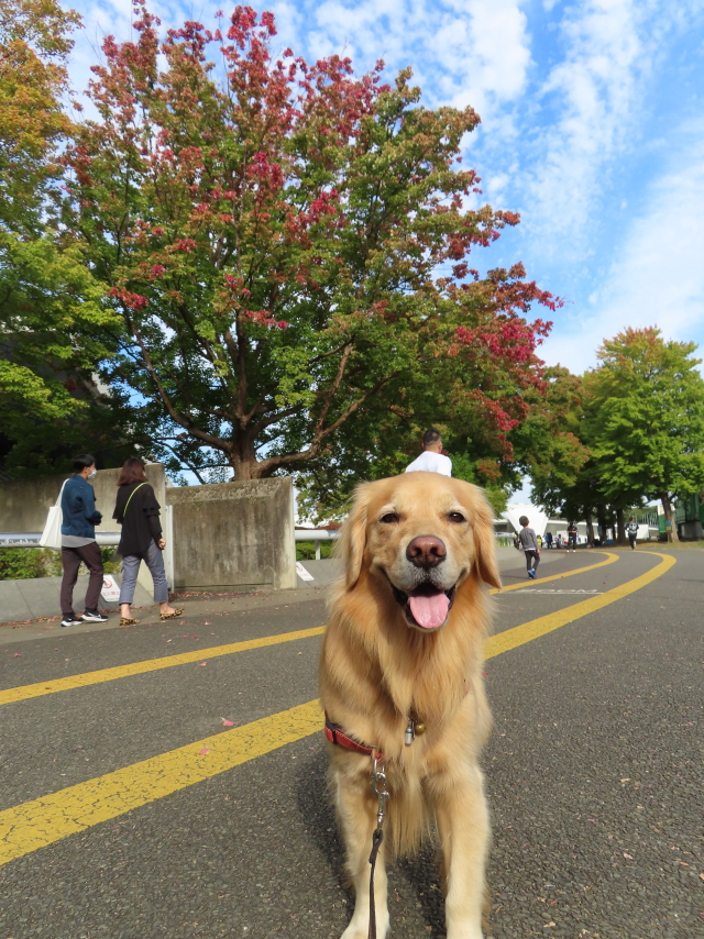 ファイル 8428-1.jpg