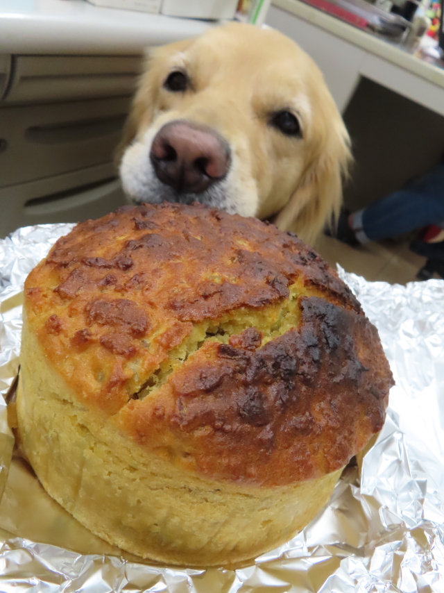 ファイル 8428-3.jpg