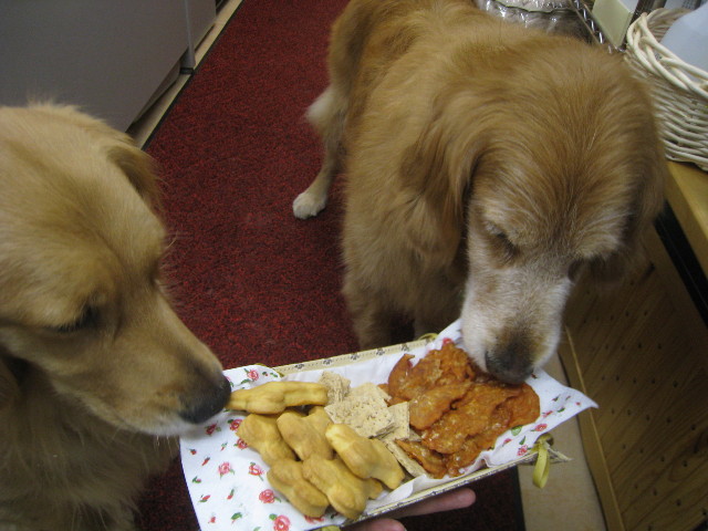 ファイル 843-2.jpg