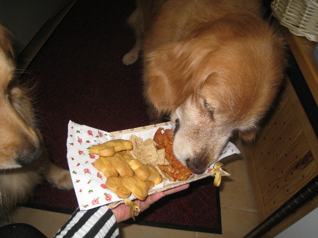 ファイル 843-3.jpg