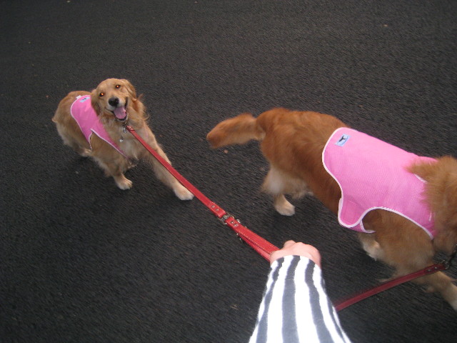 ファイル 843-4.jpg