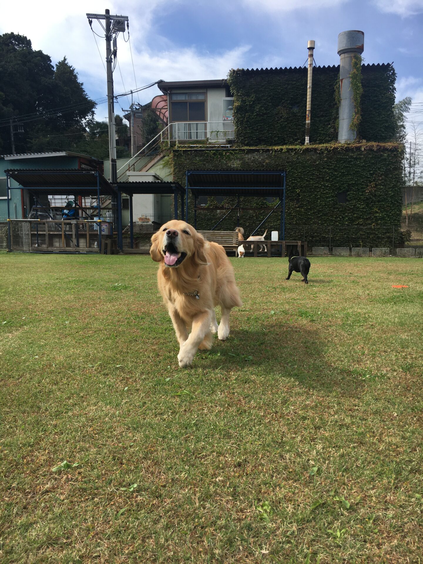 ファイル 8430-4.jpeg