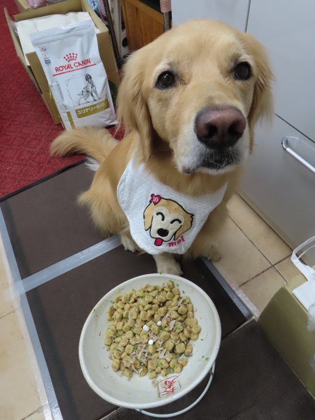 ファイル 8431-1.jpg