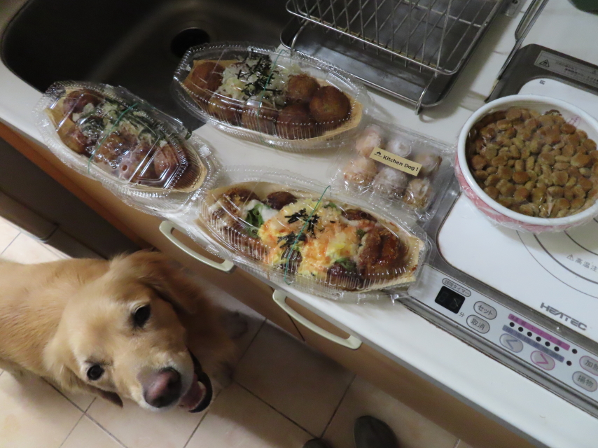 ファイル 8431-2.jpg