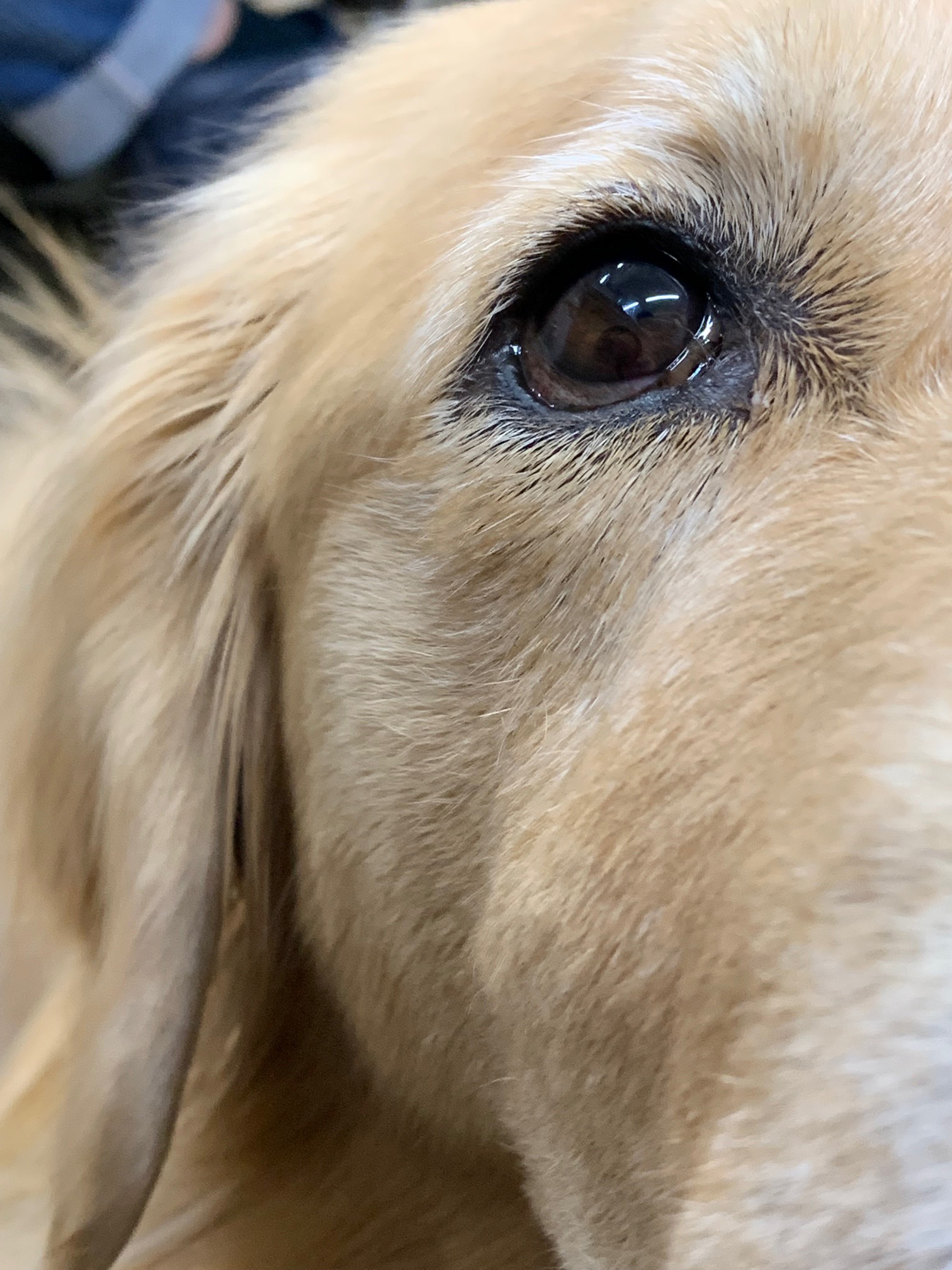 ファイル 8434-1.jpg