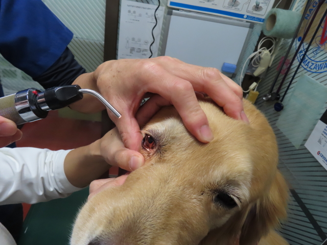 ファイル 8434-2.jpg